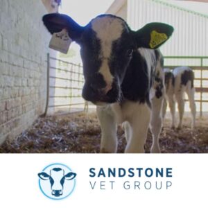 Sandstone Vet Group